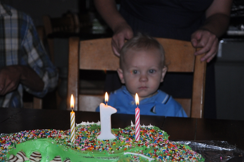 William's 2nd 1st Birthday Party 301.jpg